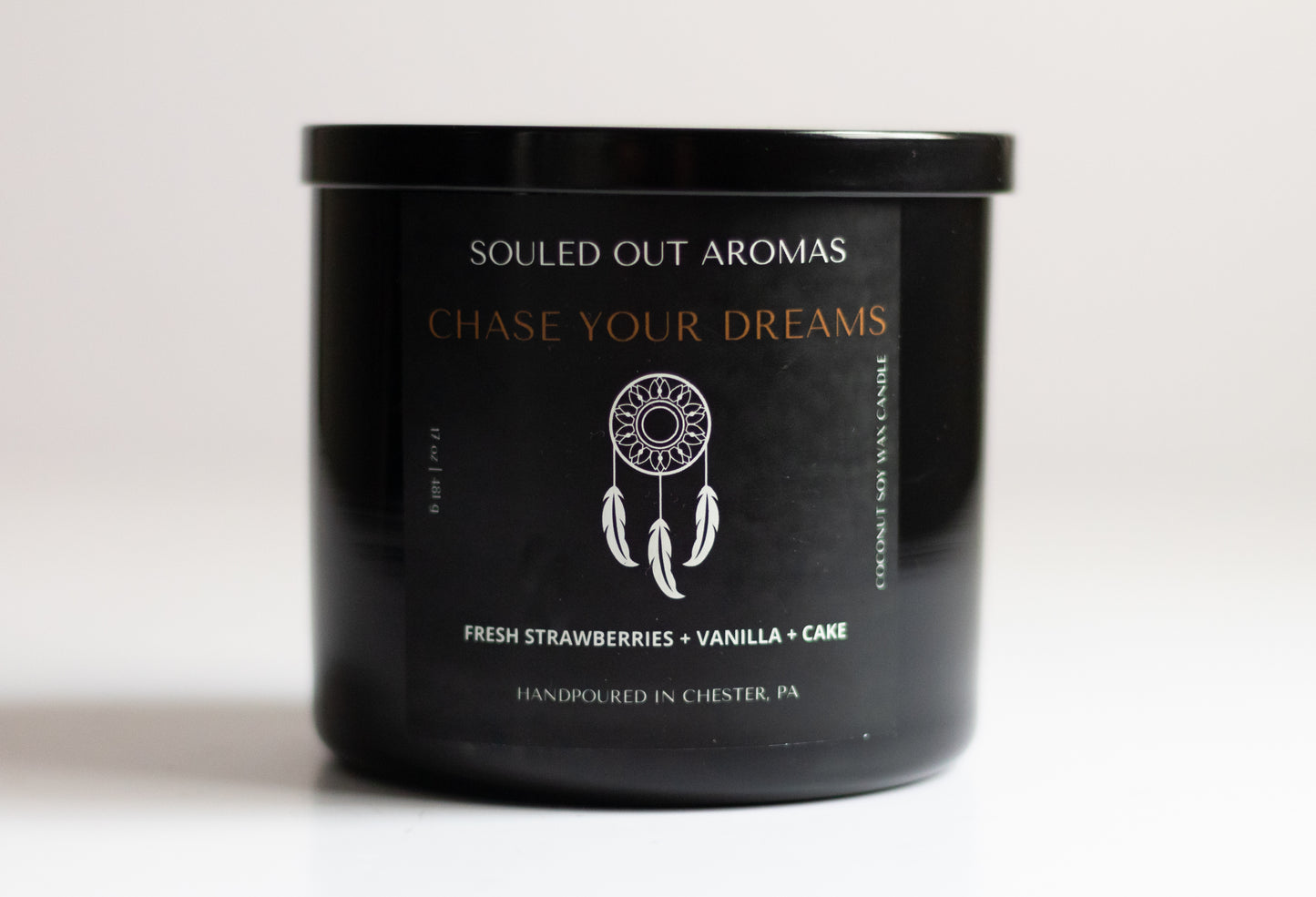DREAM CHASER